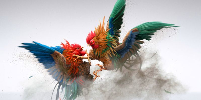 Những ưu điểm nổi bật của đá gà Thomo tại NOHU